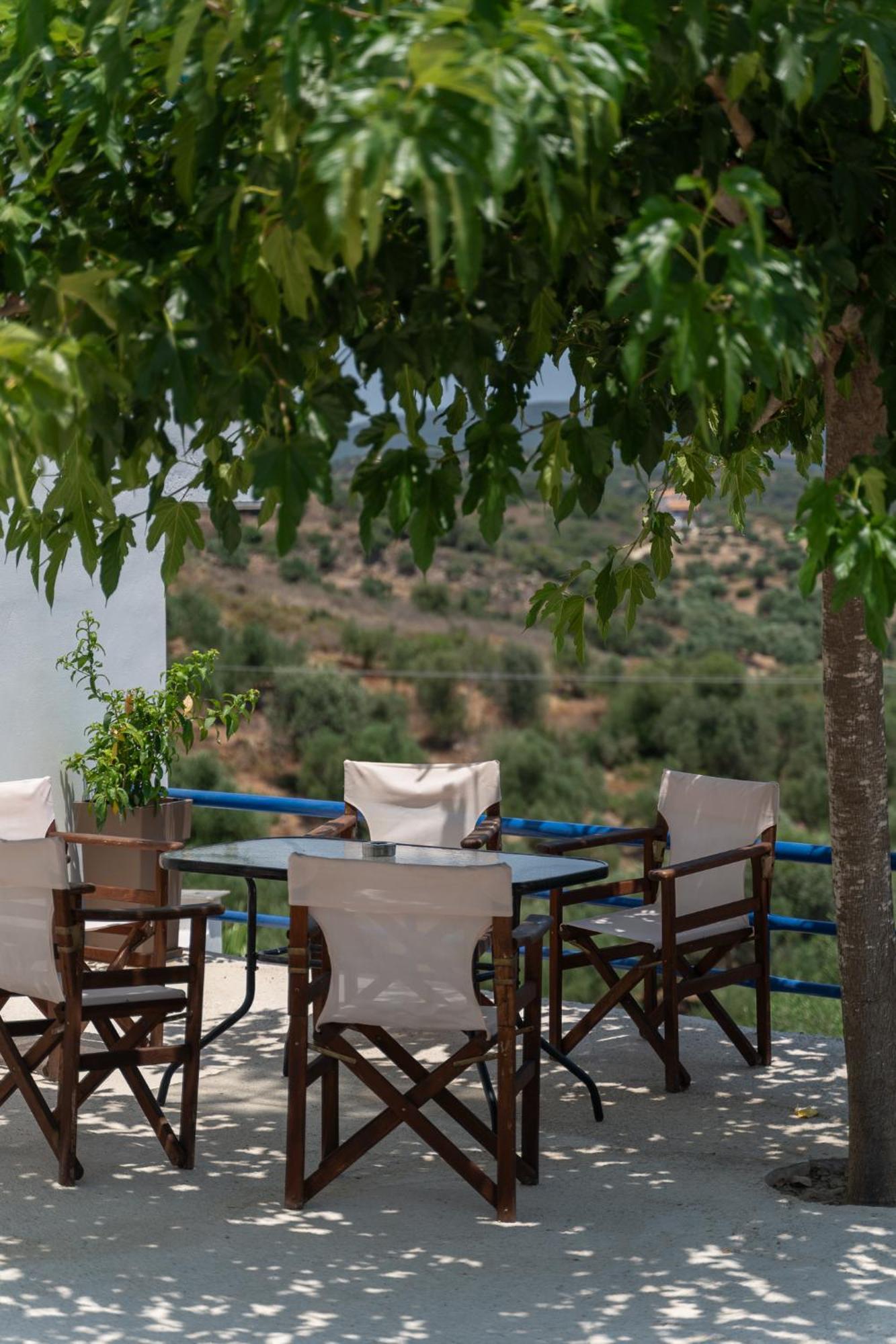 Blue Houses Maisonettes Kamária Dış mekan fotoğraf